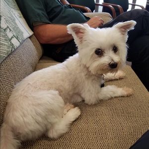 Meet your Posher, Shanda